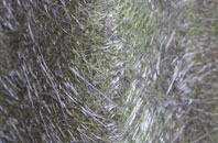 Little Milford fibreglass roof work